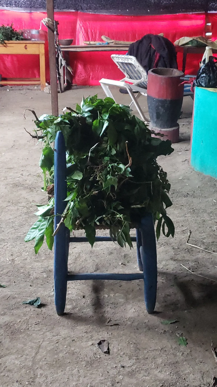 MAKAYA Initiation