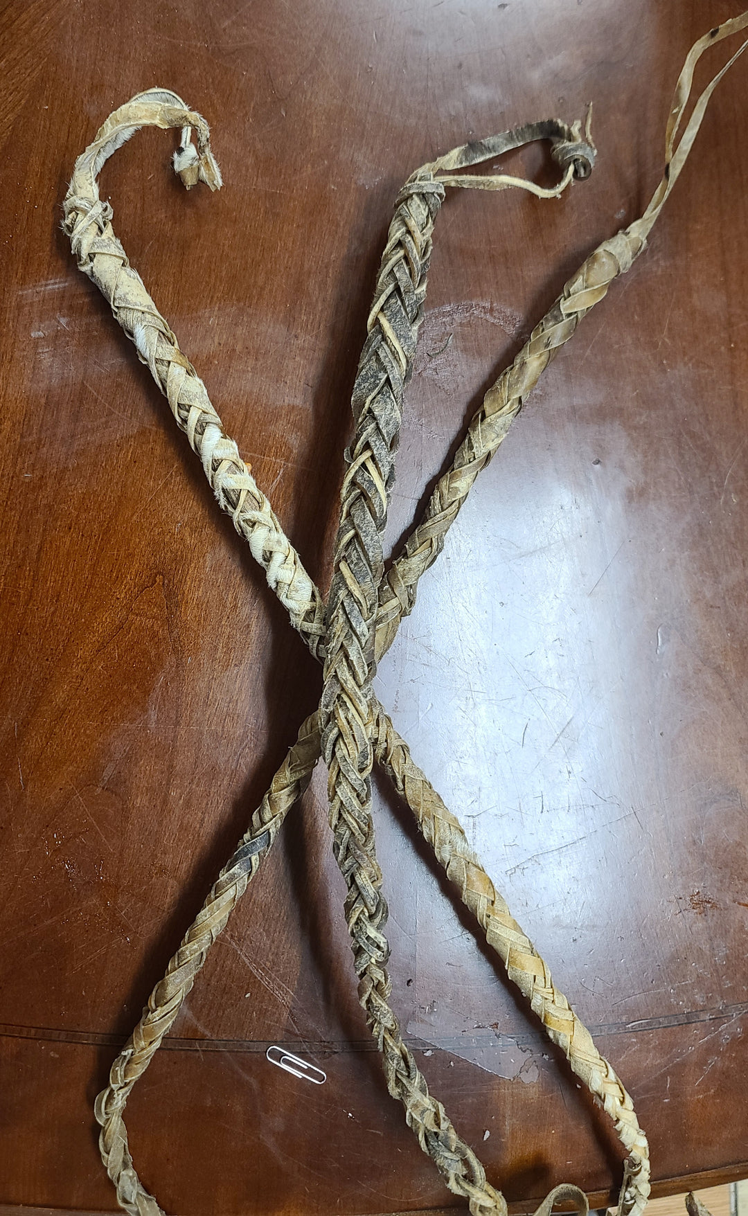 Leather Whip / Iguaz