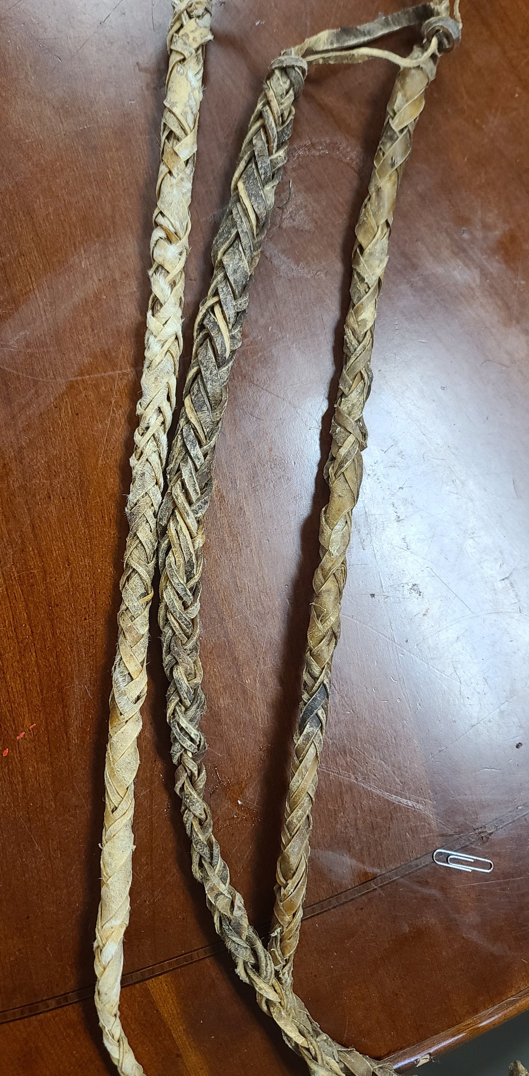 Leather Whip / Iguaz